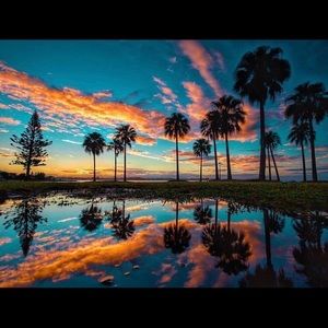 Meet your Posher, Eva